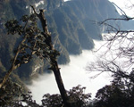 峨眉樂山二日游云上金頂