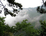 廬山+三清山+井岡山雙臥9日