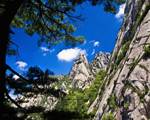 黃山+九華山+歙縣雙臥7日