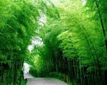 畢業(yè)川西行程推薦